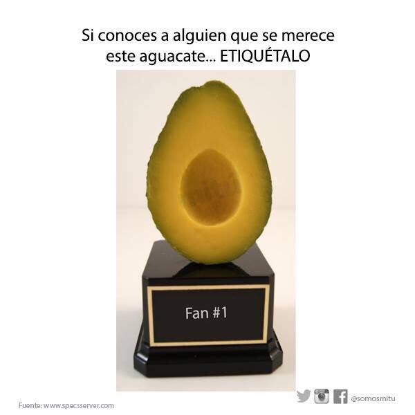 itza_pitza's tweet photo. Hay dos tipos de personas que aman los aguacates: los comilones y las ninfómanas que les encanta el de carne https://t.co/MAqMBQ5q1N