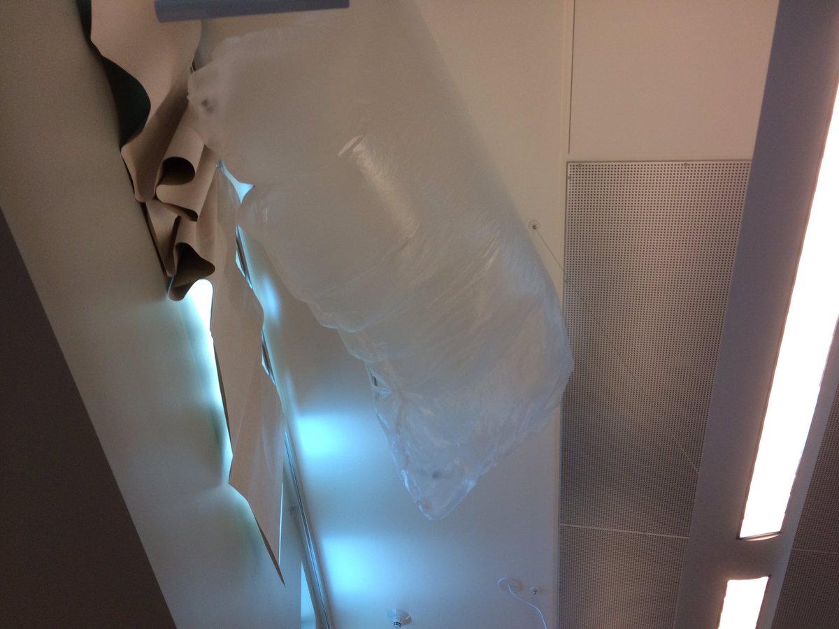 FaberScience's tweet photo. More hot air balloons @phmustangs https://t.co/OaU16TiIOR