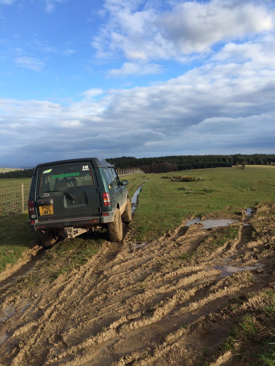 Greenlaner91's tweet photo. Brechfa forest in the #landrover #300tdi Cracking lane fair play! 👍🏻 #greenlaning #rightofway #byway https://t.co/lhjQqXElEs