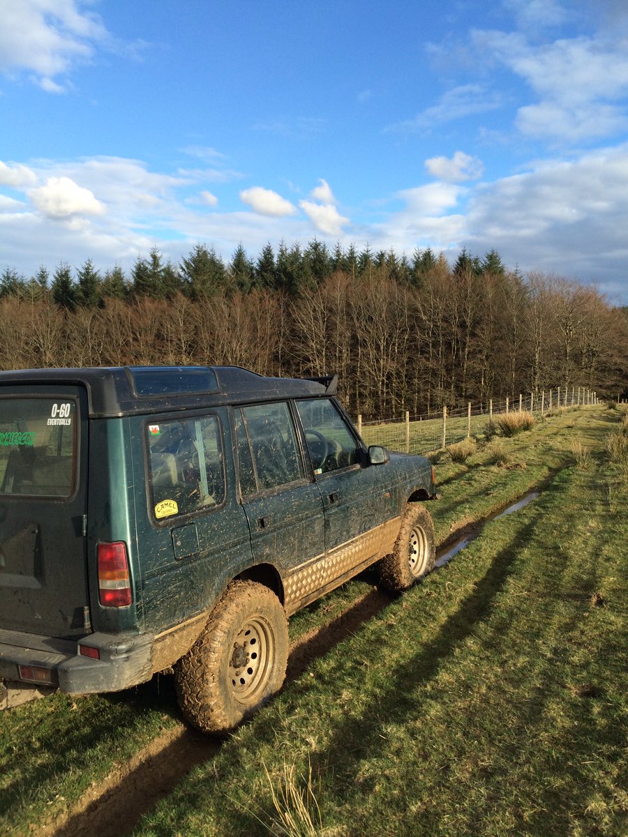 Greenlaner91's tweet photo. Brechfa forest in the #landrover #300tdi Cracking lane fair play! 👍🏻 #greenlaning #rightofway #byway https://t.co/lhjQqXElEs