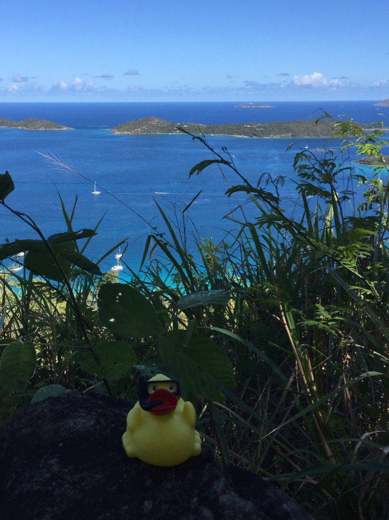 Duck out of water. Hiking with a rubber ducky. #snorkelduck #stjohnprovisions #stjohnhike