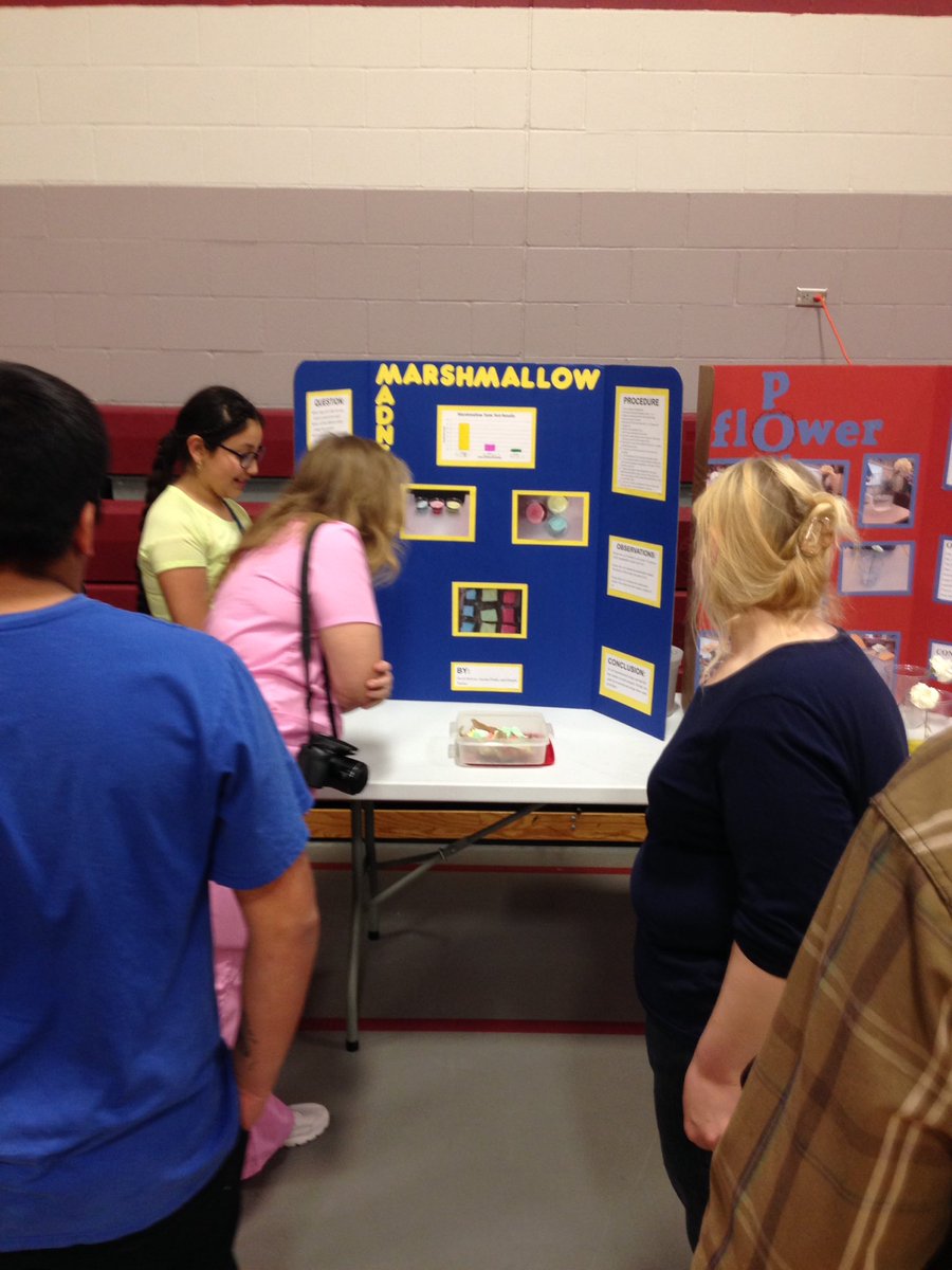 matt_brenn's tweet photo. Marshmallow Madness!!!!! #WakefieldElementary https://t.co/lbeCGJGPX3