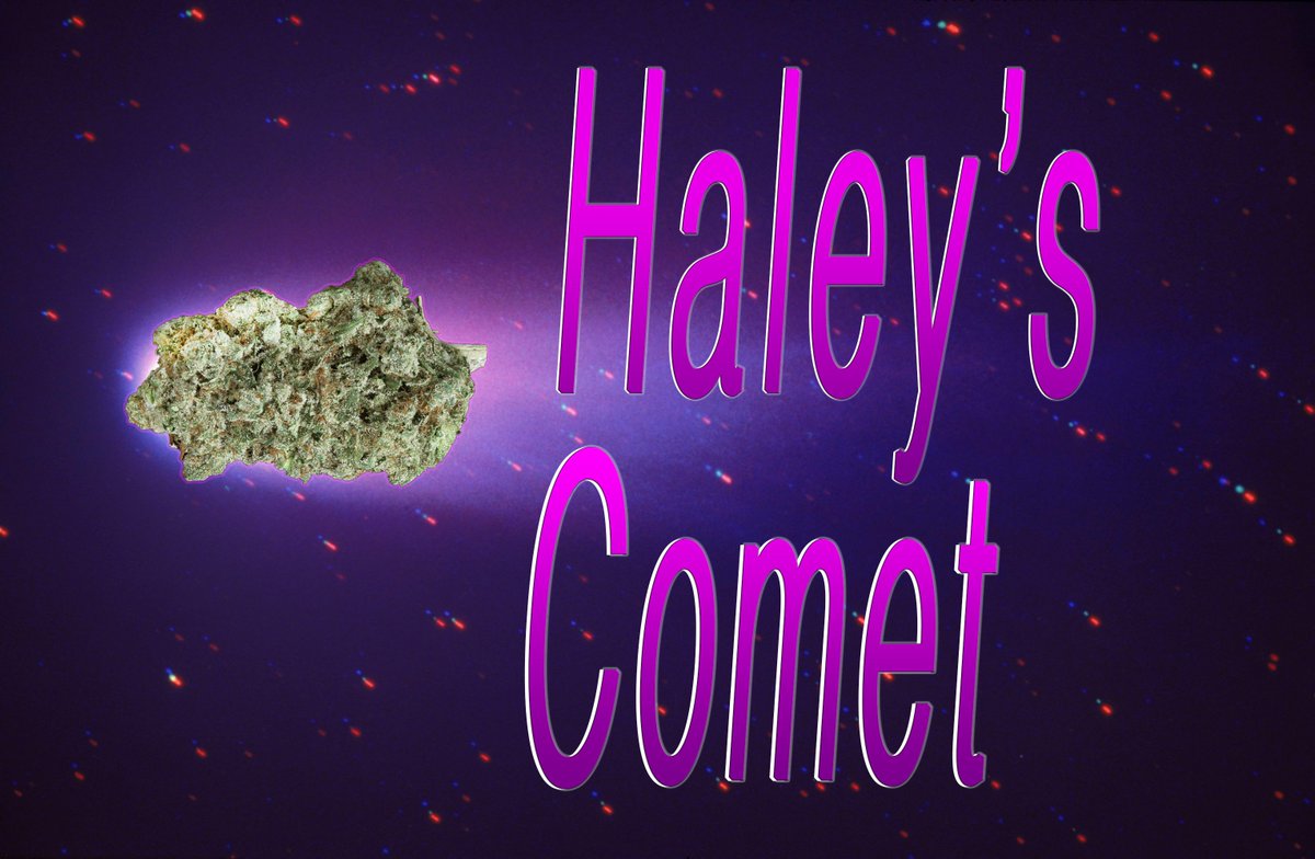 kindpeoplesrx's tweet photo. Haley's Comet. A Sativa dominant #strain that mildly #medicates for depression, migraines, glaucoma, and nausea. https://t.co/aLva0W2eXo