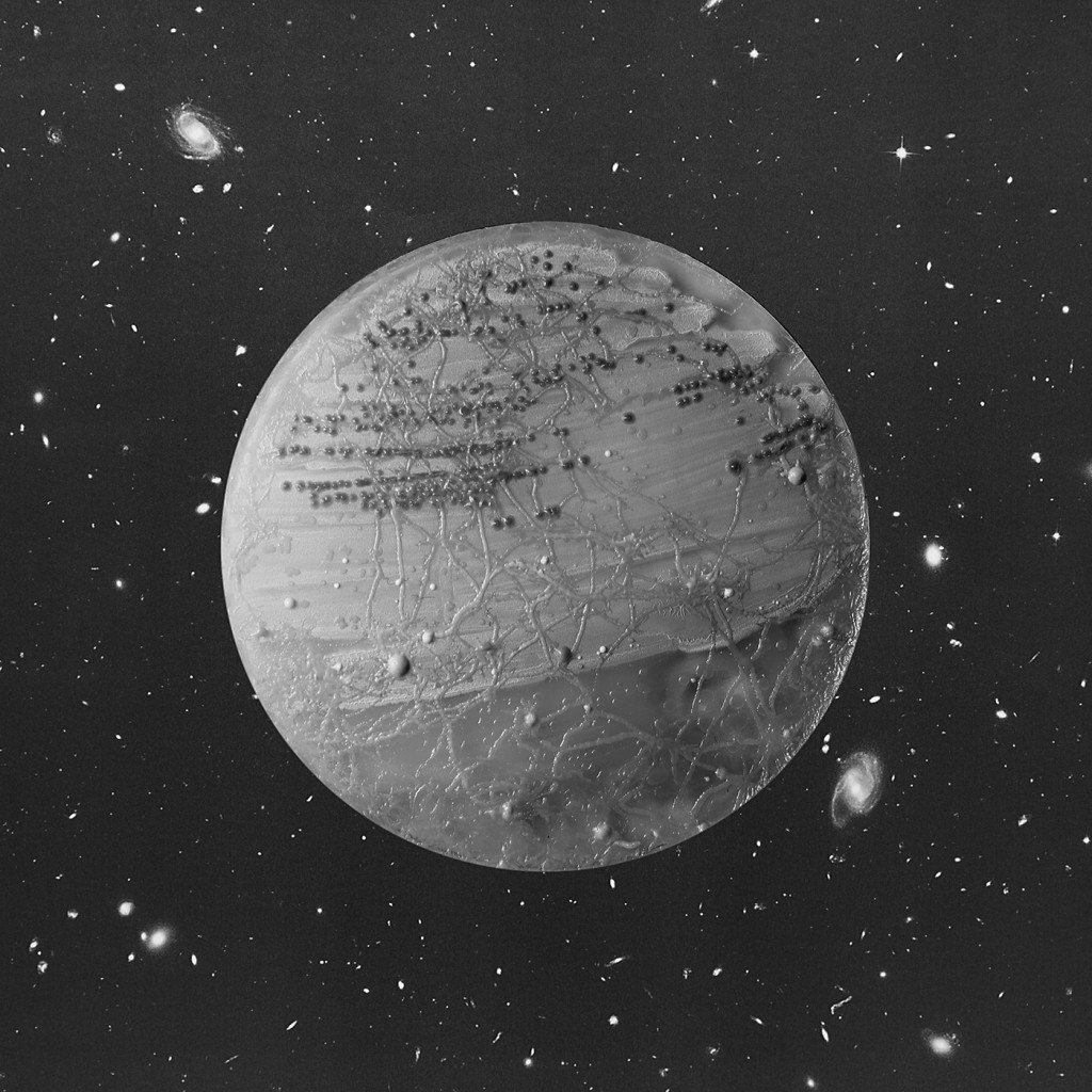 WIRED's tweet photo. Look at these beautiful planets... jk they’re bacteria from public buses and toilets! https://t.co/ffh45eTjXL https://t.co/sl97mZc3Gf