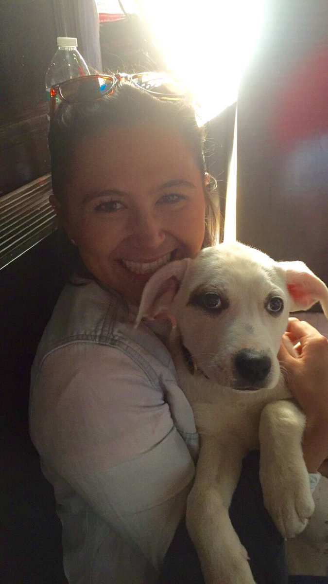 liviaa_orenn's tweet photo. Thanks to @FijiIslandCup for making my day 100% better with puppies !!! #TeamAXiD https://t.co/jQCcgHnNNL