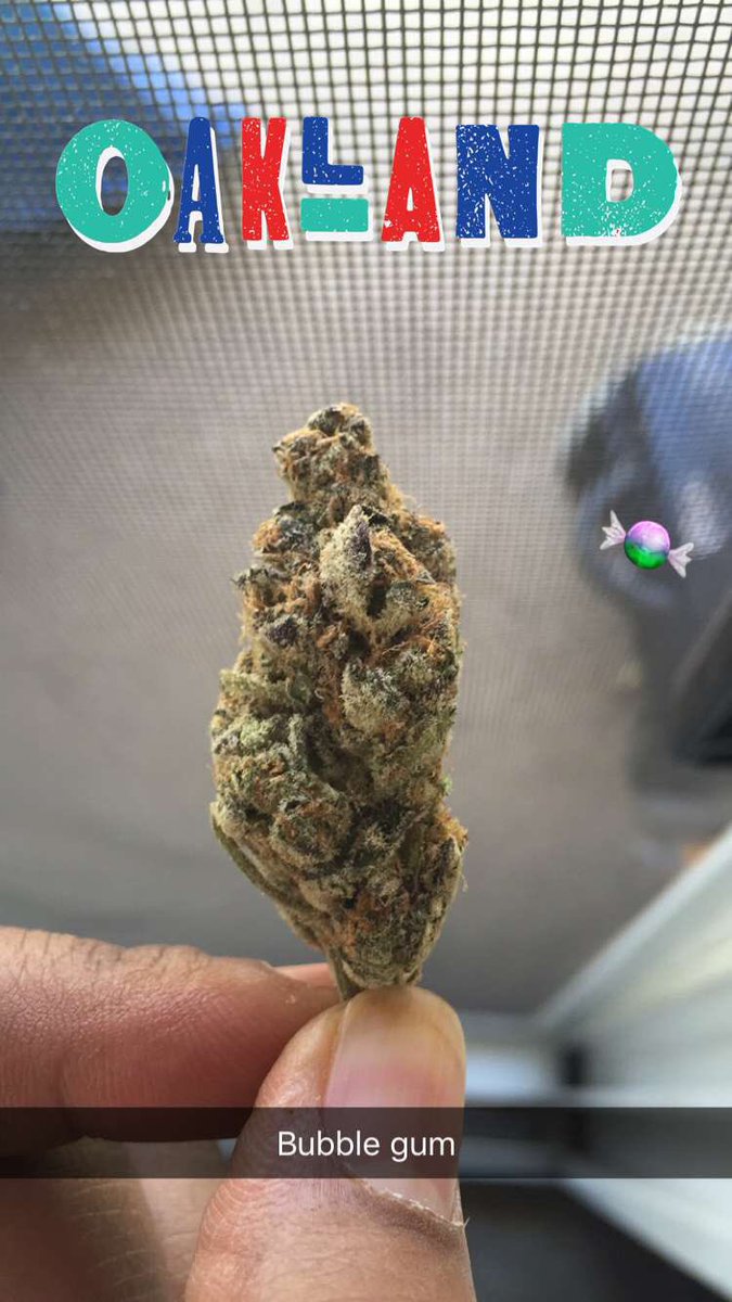 HennyBo11's tweet photo. #Bubblegum #canabus #420 https://t.co/dhhMZFzbI1