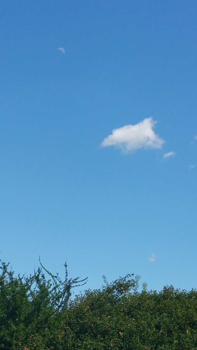 champion79's tweet photo. Entrando a lavoro
#fermando la luna in uno scatto https://t.co/YO3Zs3nJbV