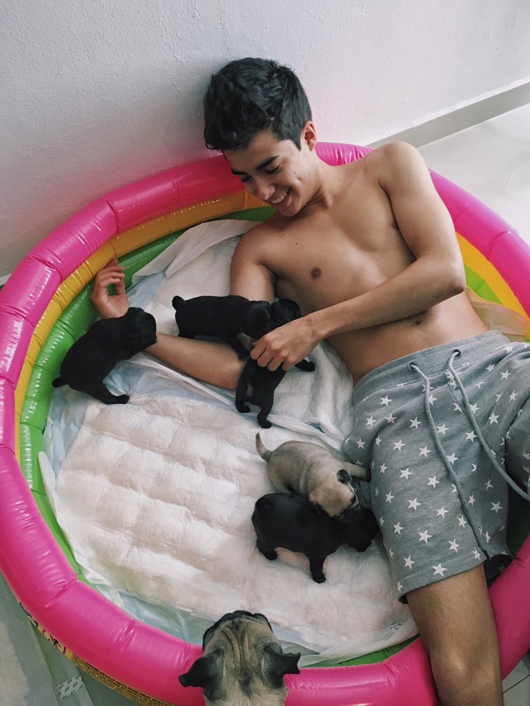 mariobautista_'s tweet photo. Jugando con nuestros nietos 🐶💘 https://t.co/HzBOUhtpi6