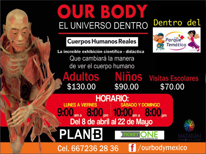 OUR BODY EL UNIVERSE DENTRO 
Dentro de las instalaciones del Parque Temàtico,Cul.
Precio esp.para grupos escolares.