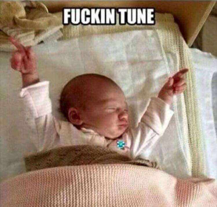 Meichel96's tweet photo. Nearly every song in koolers gets me like......😎😂😂 @TheKirkhouse https://t.co/H3AGyMDbIq