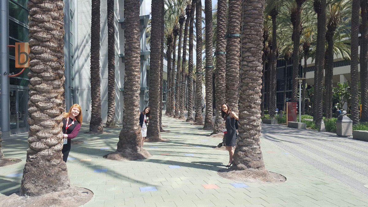jenni_cavanaugh's tweet photo. Playing in the palm trees with @SarahMeeks15and @SarahRStrahan #lovethesarahs #AonSIOP #SIOP16 https://t.co/1Jxb8otA3s