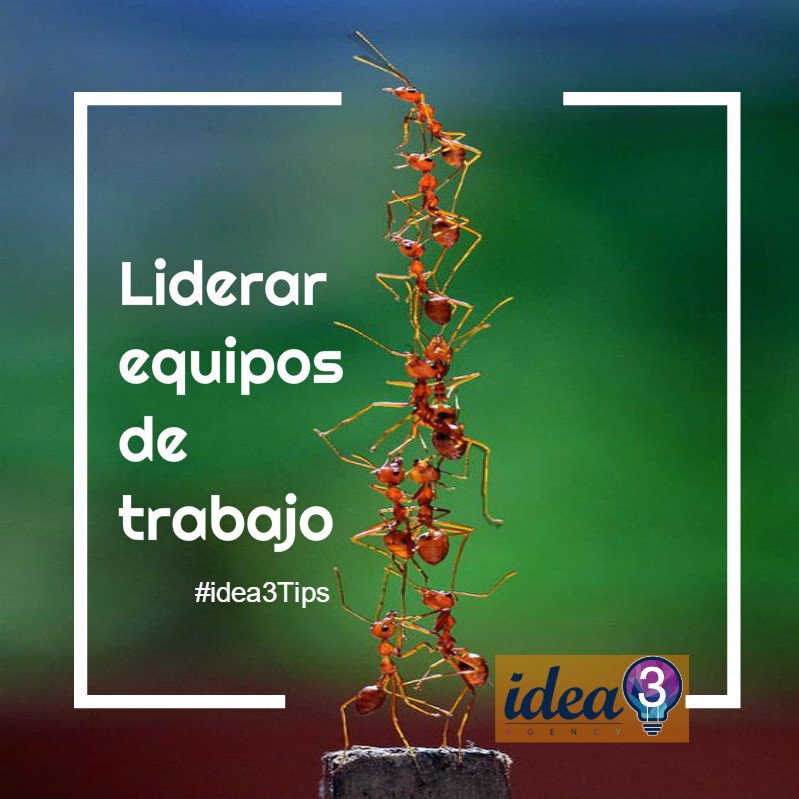idea3agency's tweet photo. ¿Cómo liderar un equipo de trabajo? visítanos en instagram @idea3agency
#idea3Tips #pymeslatam #pymesvenezuela https://t.co/X1FoWtFSef