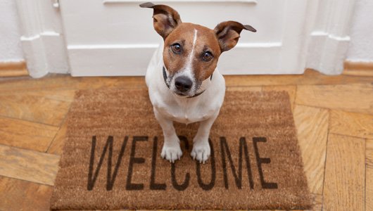 IsaiahPolstra's tweet photo. The best kind of welcome. https://t.co/fDlEGWLenR