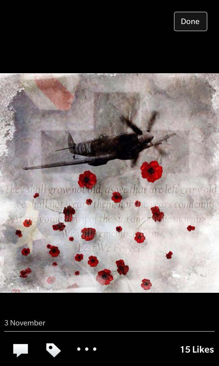 hmog93's tweet photo. @ArchiebaldCook any chance you can draw something like this to go on the ribs, writing plane an poppies and clouds https://t.co/rcwQ0WheB7