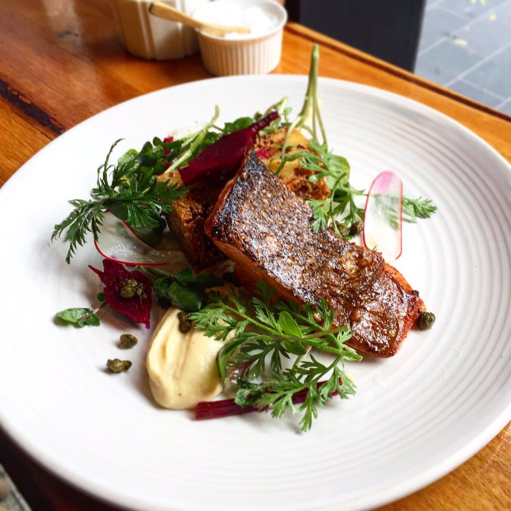 2bird1stone's tweet photo. 🐥 Pan Seared trout with  cauliflower purée, potato &amp; quinoa rosti, pickled beetroot &amp; a poached egg. https://t.co/hwR0KUXD0F