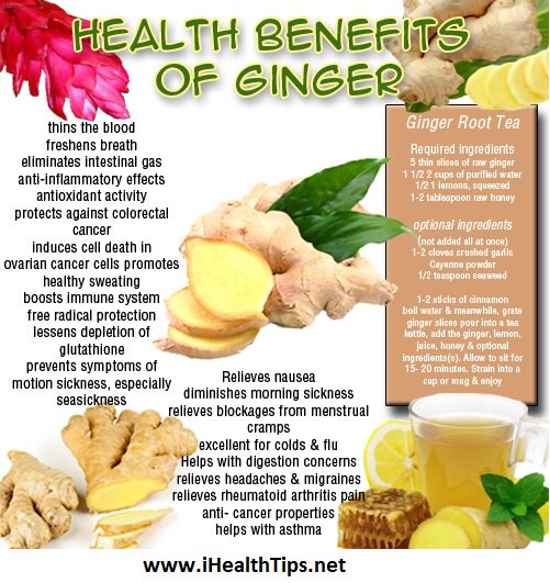 goohealthy's tweet image. Ginger
