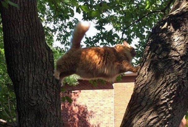 MoscowEscape's tweet image. Тут-то Тимофей и понял: он в очень затруднительном положении😄😄😂