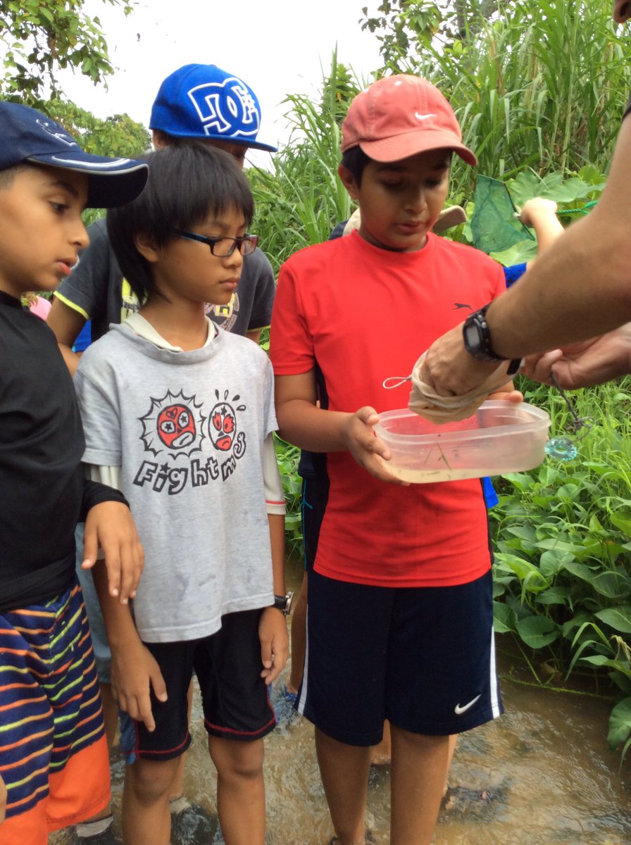 G5Students's tweet photo. What did we find? #MKISES #learningthroughdoing #sciencists https://t.co/eIxHphu64h