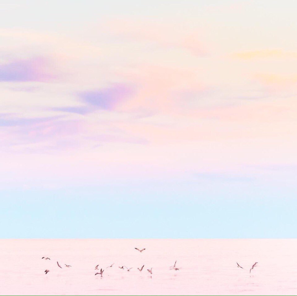 Content from lilac_sky24