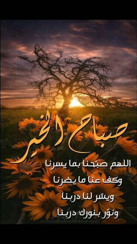 turki1969's tweet photo. https://t.co/taCuGUKpa7