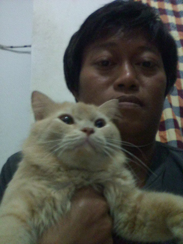 R.I.P My Brother R.Donny Setyo Wibowo ,
U/ kami semua sebagai keluarga mendoakan mas don yang terbaik
#we_love_u