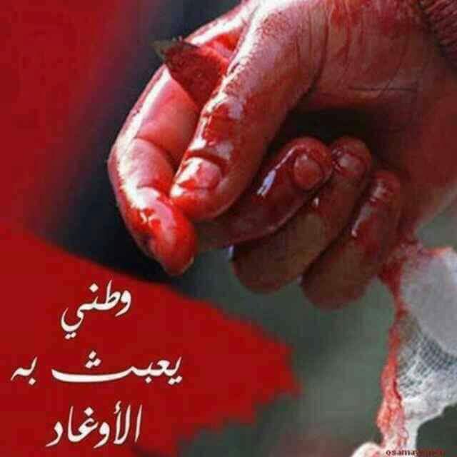 صنعانيه جريئه (@kimoo0101) on Twitter photo 