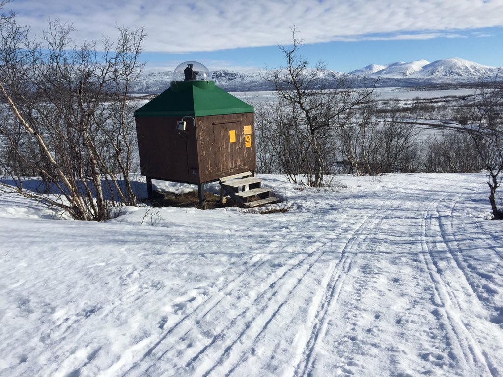 Lina Broman tweet media