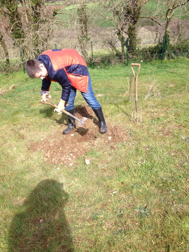 Getting stuck in to digging out post holes