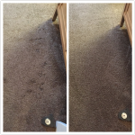 cleaning_bliss's tweet photo. Check out some "before and after" photos from our site's new gallery. https://t.co/fmhNgCPUFd #CarpetCleaning #UK https://t.co/ltvXNXkLP9