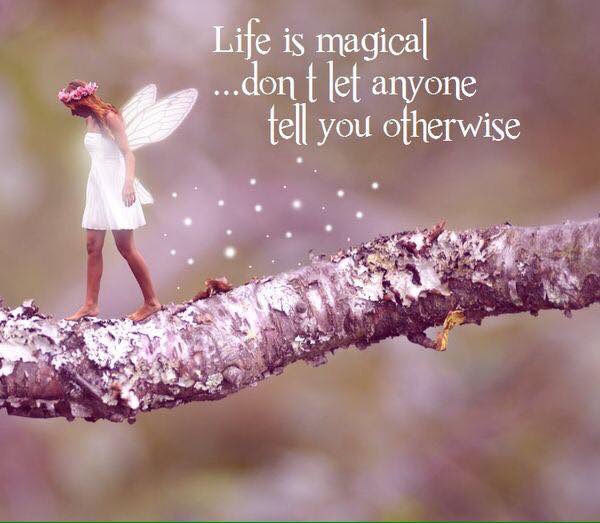 Hummingbirdhol's tweet photo. #love #life https://t.co/317oHecp7H