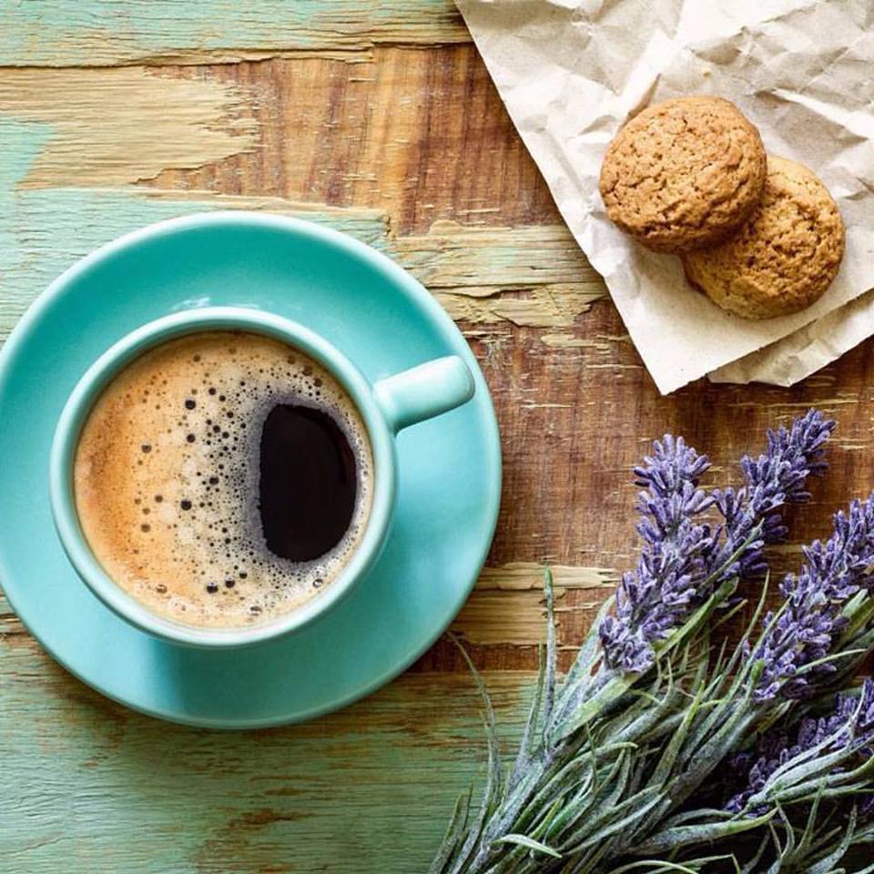 SeraKutahya's tweet photo. Güna☕ydın!
#serakütahya #madamecoco #cococum #buradahayatvar https://t.co/8AIKAL3S0c