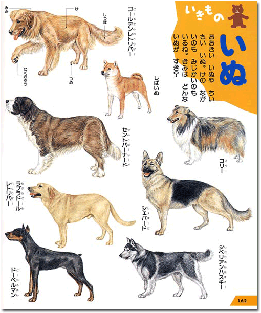 よむゾウさん 三省堂 A Twitter こども もののなまえ絵じてん は1歳からおすすめしている物と言葉の図鑑 幼児の生活に身近な もののなまえ を分野別に掲載したものです T Co Tpdy9tnuoe 絵じてん T Co 2f7wc8v5nj Twitter