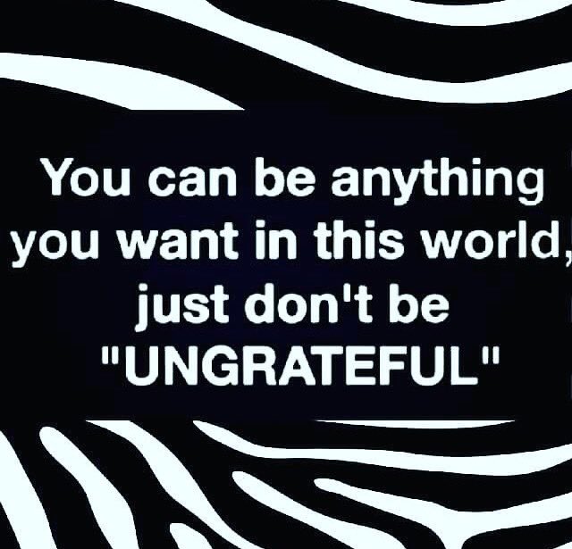 Esti van Tonder (@estivt) on Twitter photo 