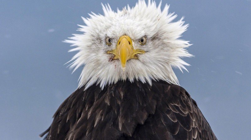 instanthaha's tweet image. Have a nice weekend, dear followers :)