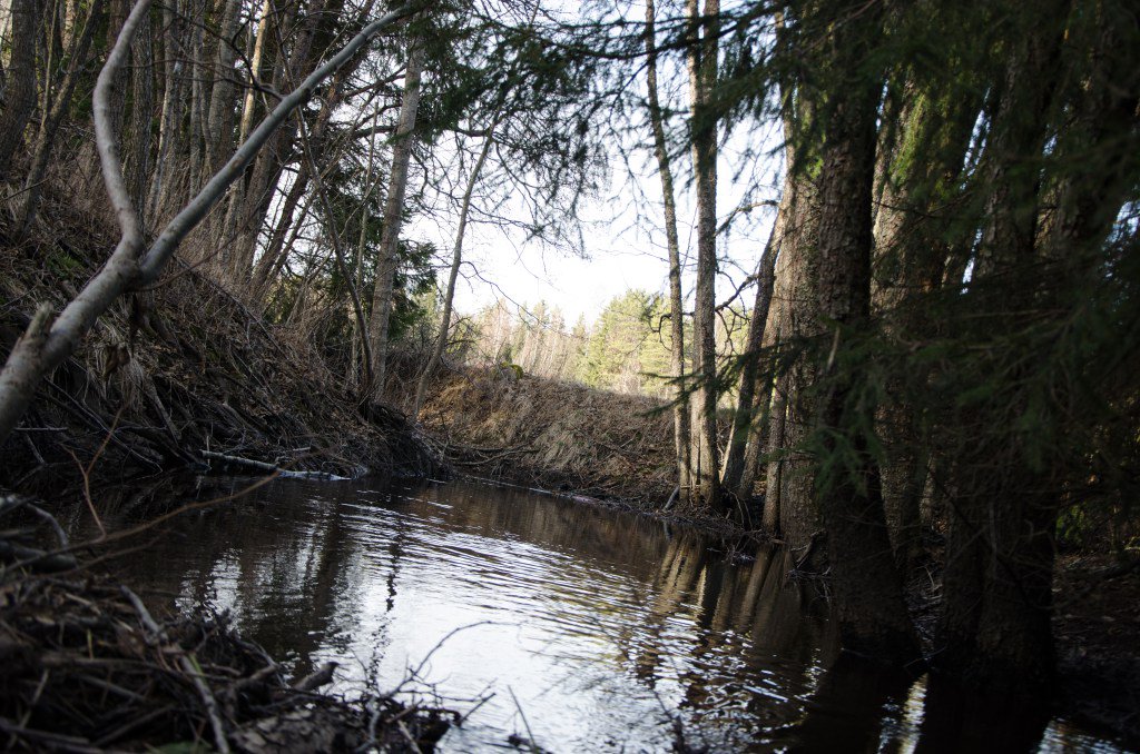 ga66e's tweet image. ny nereruo.wordpress.com/2016/04/15/ny/