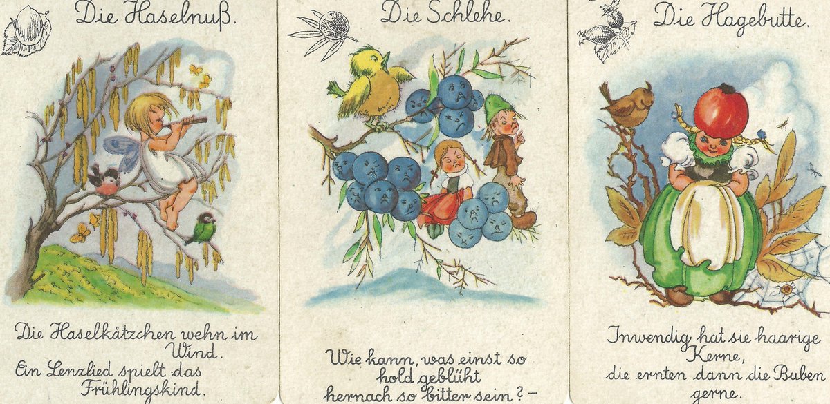 #Hasel #Schlehe #Hagebutte: Ökologische wertvolle #Gehölze zur Waldsaumgestaltung gepflanzt
bergwaldprojekt.de/aktuelles/aktu…