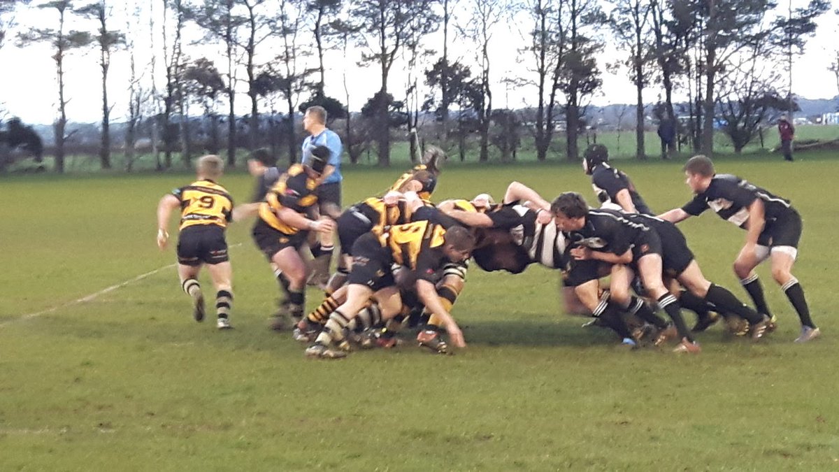 walcotrugby tweet picture
