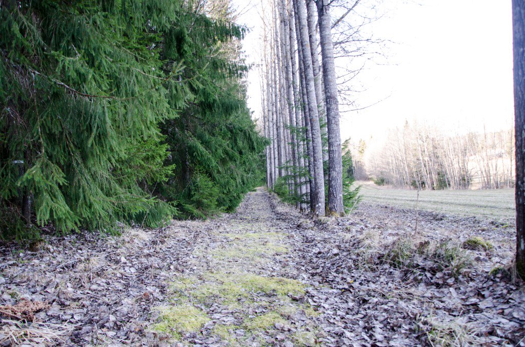 ga66e's tweet image. Lägersta natur nereruo.wordpress.com/2016/04/15/lag…