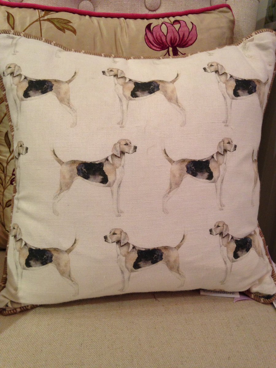 Pip & Lewis tweet media