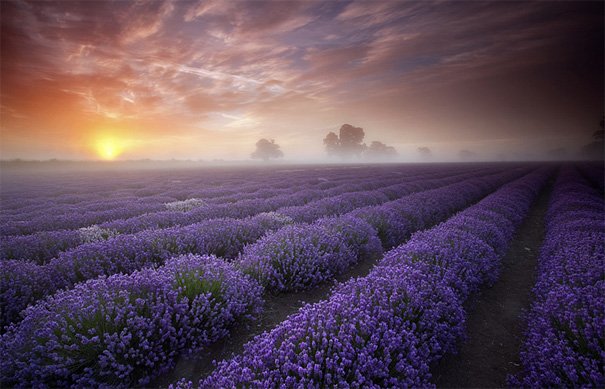 Stunning post:

50 Mind-Blowing Examples of Landscape Photography buff.ly/1SFBlIN