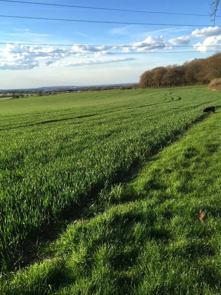 owenpine's tweet photo. Spring is finally here @owenpine https://t.co/iSMaWze3aH