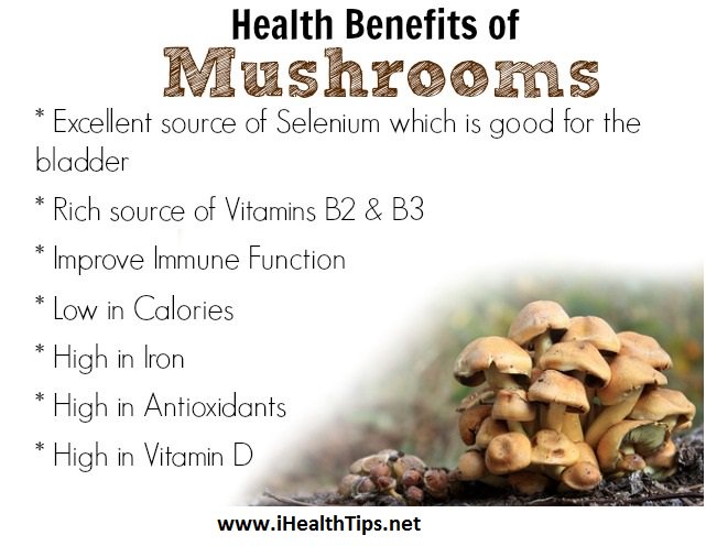 goohealthy's tweet image. Mushrooms