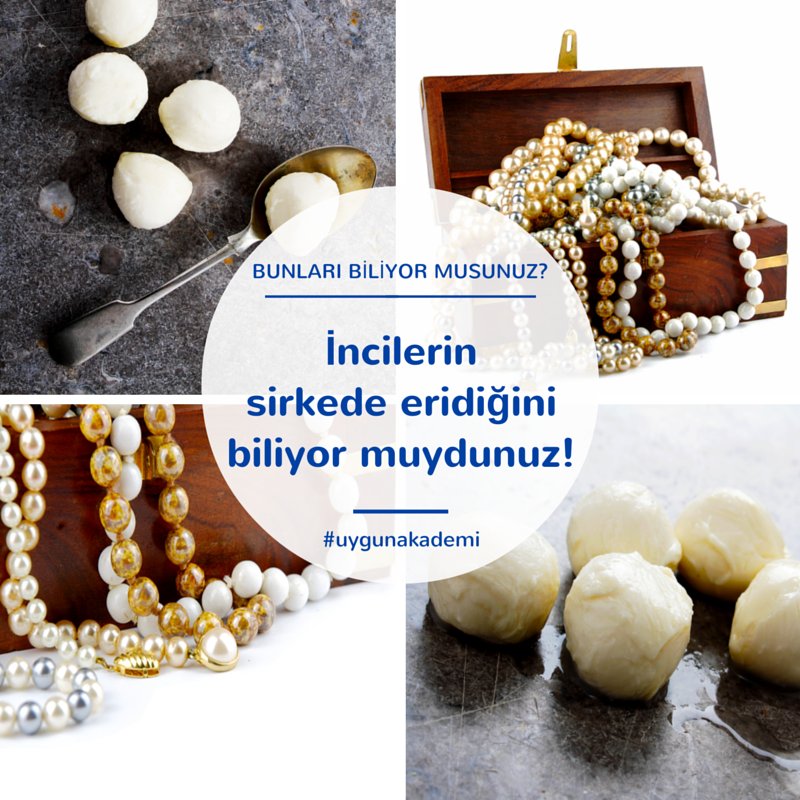 Dünyanın en iyi incileri, İran Körfezi’nden, özellikle bugün Bahreyn olarak bilinen yerde yetiştirilmektedir. #Bilgi