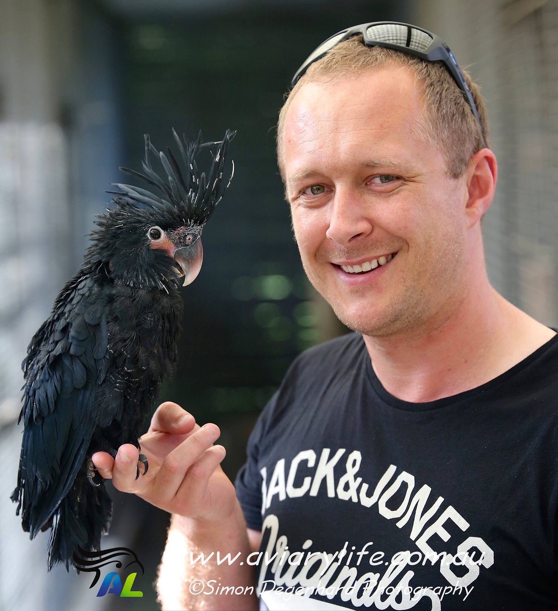 SimonDegenhard's tweet photo. Subscribe TODAY to guarantee receiving your copy of the upcoming issue of Aviarylife! 
https://t.co/FSa5tOBQfj https://t.co/9q6VwU47b8