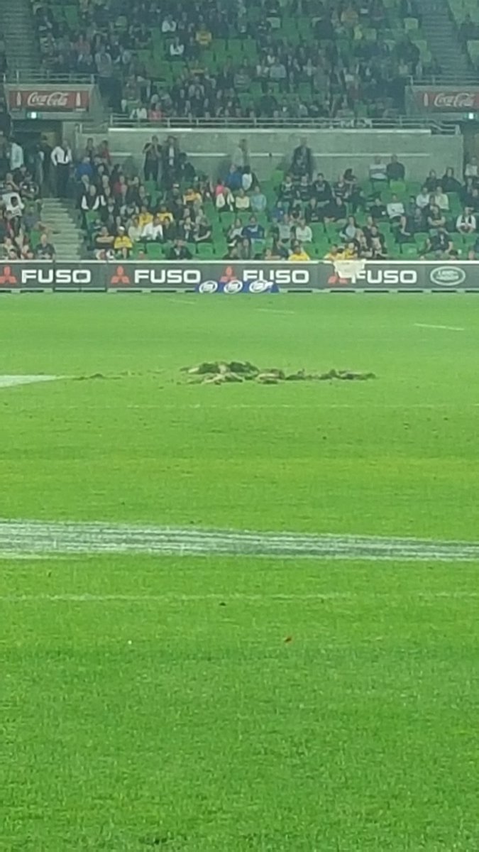 Rebel_Army's tweet photo. And the groundsmen are in for a busy night...#REBvHUR https://t.co/sNzJbUPqCW