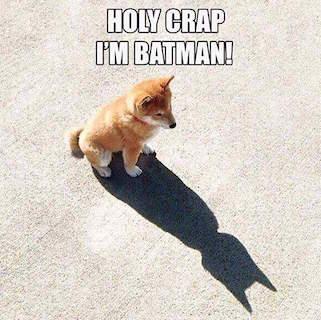 tiasha192's tweet photo. #Batman 
#dog
#holy creep 
#lol https://t.co/rDpWtEEmad