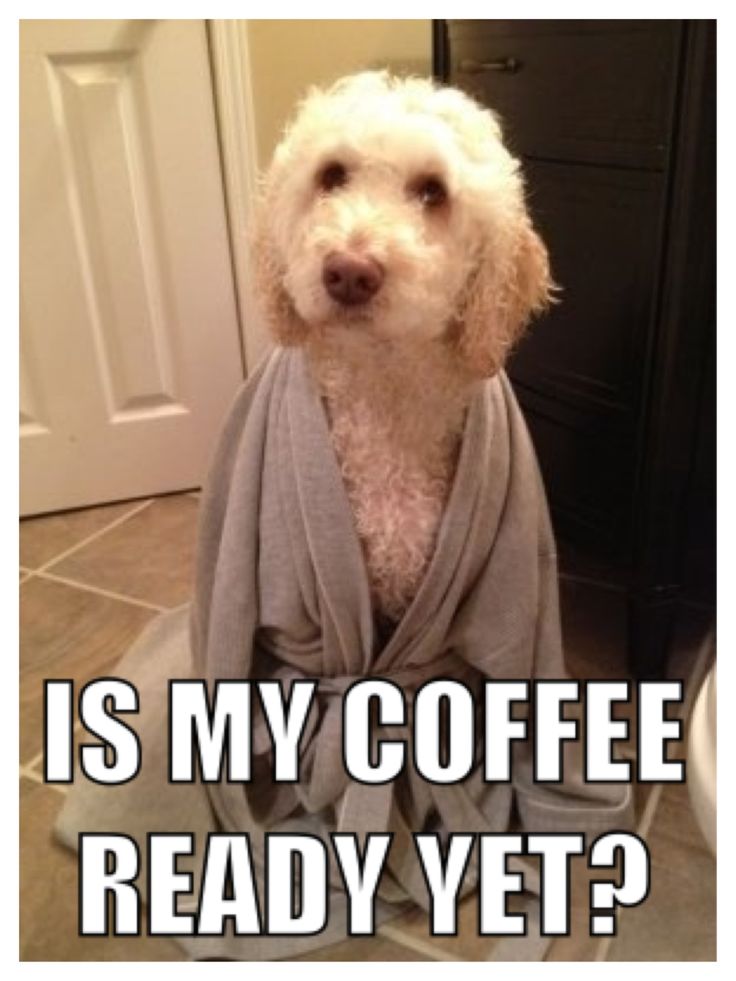 Happy #Sunday all! #SundayFunday #coffee #dayofrest #sundayroast #familytime