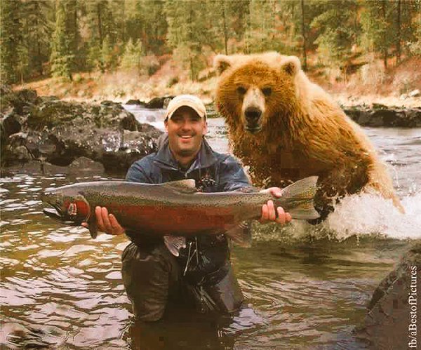 Bills Folly tweet media