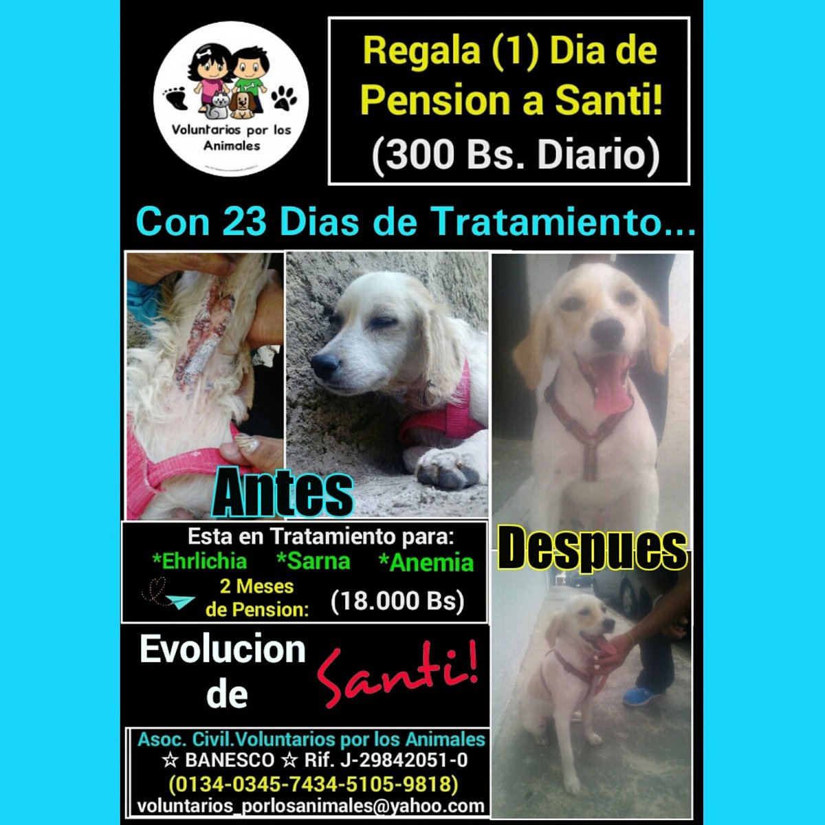 Ve el Cambio de Santi!!! REGALA #1DiaDePension (300Bs) para que continue su tratamiento para Sarna y Ehrlichia!!! ♥