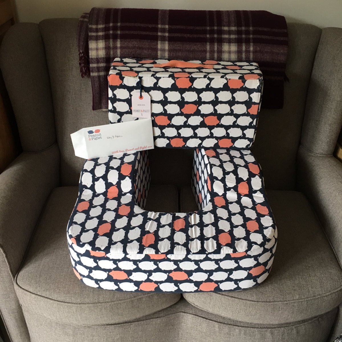 peanut and piglet pillow